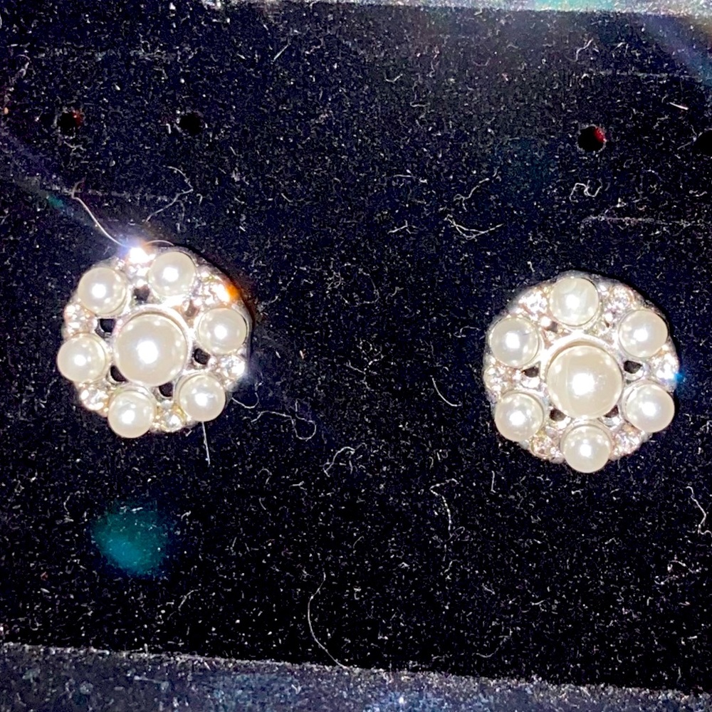 Post Earrings - image 1